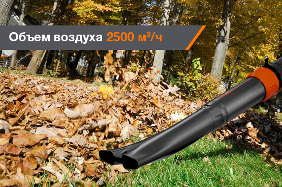 Профессиональный бензиновый двигатель DAEWOO